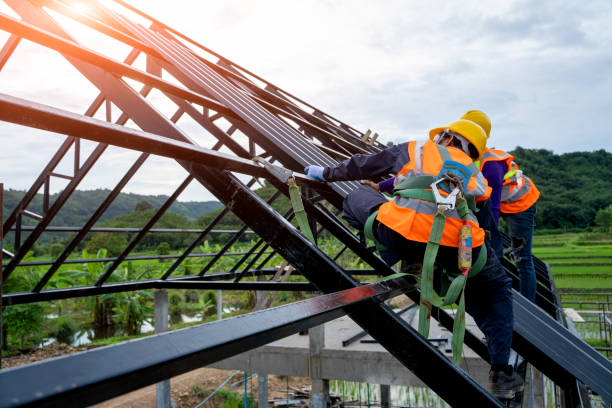 Best Roofing Contractor Near Me  in Newton Falls, OH