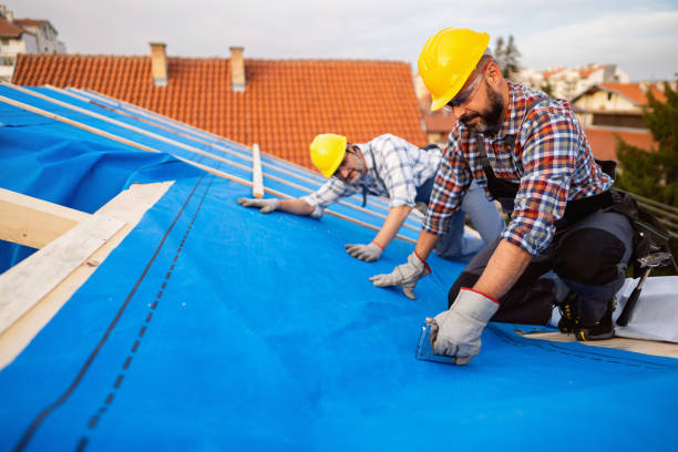 Best Roof Leak Repair  in Newton Falls, OH